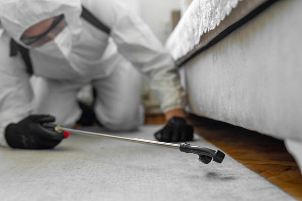 Professional Pest Control technician working in Lafayette County County, MO